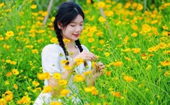 老阿姨哔哩哔哩高清在线观看免费